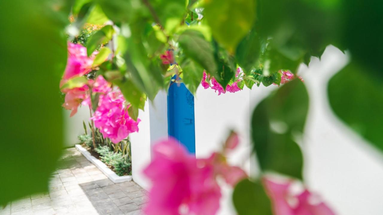 Villa Diola 3 Canggu Εξωτερικό φωτογραφία