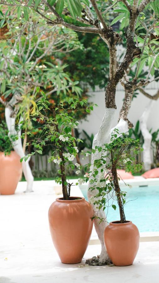 Villa Diola 3 Canggu Εξωτερικό φωτογραφία